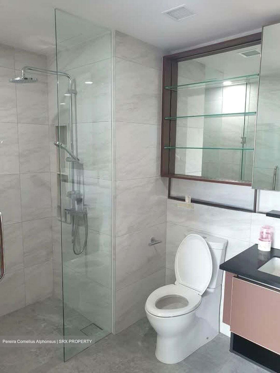 Normanton Park (D5), Apartment #537791651